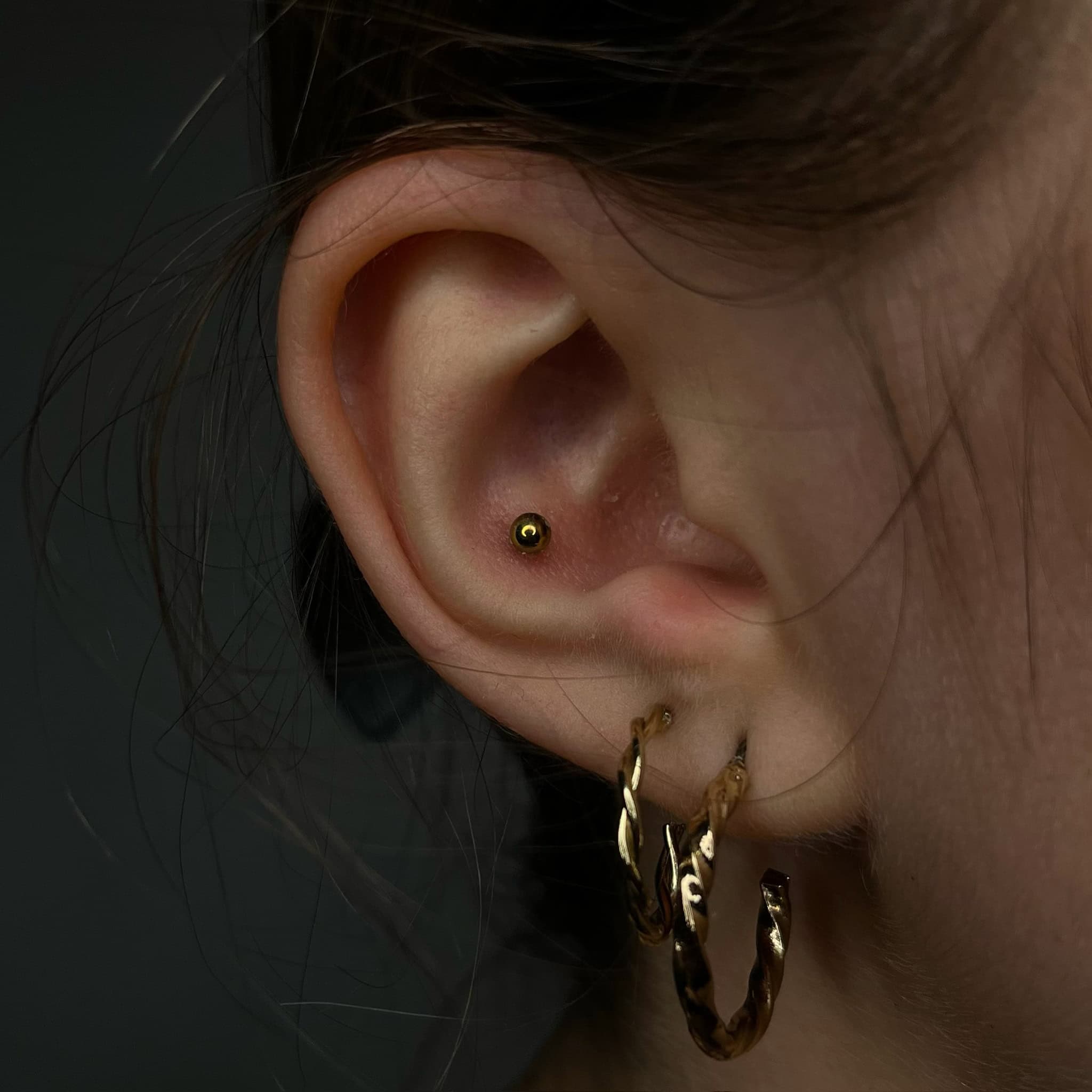 7sinstattoo.live Zbliżenie ucha ozdobionego dwoma piercingami. Wewnętrzny piercing prezentuje mały, okrągły złoty kolczyk, podczas gdy zewnętrzny piercing ma charakterystyczną parę falistych złotych kolczyków-kółek (nazwa produktu: 277762B3-DB1E-4EA7-8320-9746B6746C16). Włosy wokół ucha są schowane z tyłu, a ciemne tło podkreśla nowy tatuaż z najlepszego studia tatuażu Poznań. Najlepsze studio tatuażu Seven Sins Tattoo