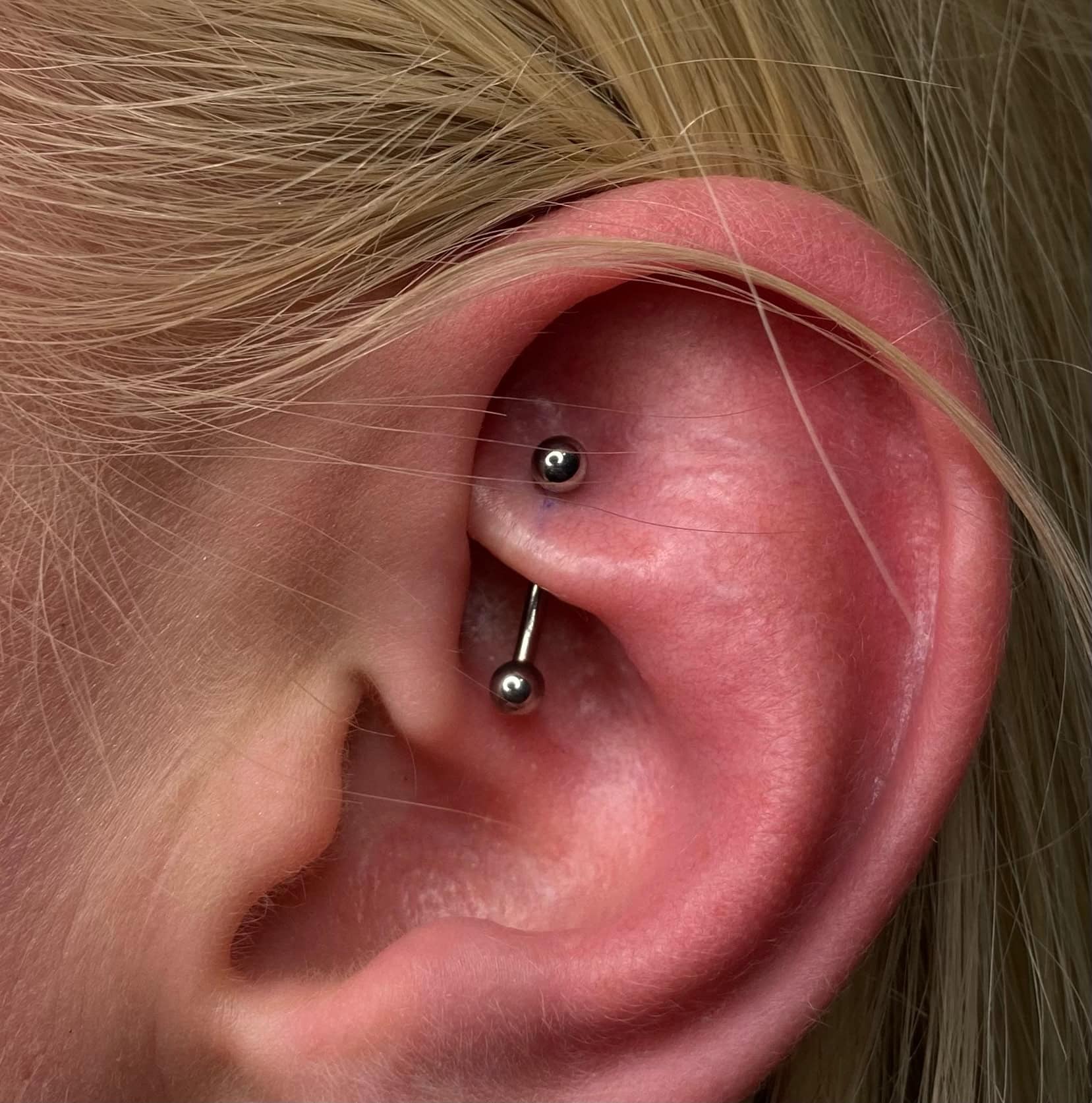 7sinstattoo.live Zbliżenie ucha osoby z przekłuciem przemysłowym, wykonanym w najlepszym studiu tatuażu w Poznaniu. Produkt, IMG_3178, to metalowy sztanga z dwoma okrągłymi końcami włożonymi przez chrząstkę górnego ucha, powodujący lekkie zaczerwienienie wokół przekłutego obszaru. Ucho jest obramowane blond włosami. Najlepsze studio tatuażu Seven Sins Tattoo